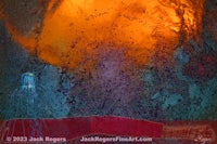 an image of a jellyfish in the water