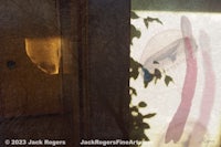 jack rogers fine art print